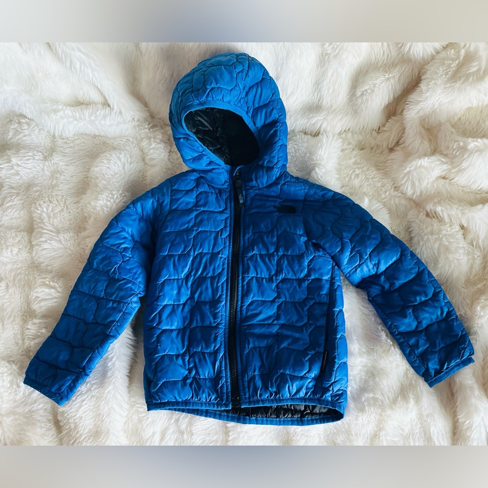 The North Face Kids Quilted Thermoball Puffer Jacket in Blue